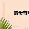 韻母有哪些 26個（韻母有哪些）