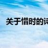 關于惜時的詩句或名言（關于惜時的詩句）
