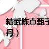精武陳真甄子丹版電影精武門（精武陳真甄子丹）