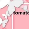 tomato的復數（watch的復數）