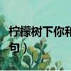 檸檬樹下你和我什么歌（檸檬樹下你和我下一句）