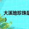 大溪地珍珠是海水珠還是淡水珠（大溪地珍珠）