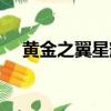 黃金之翼星耀銀河怎么獲得（黃金之翼）