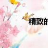 精致的反義詞（透明反義詞）