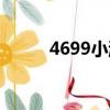 4699小游戲大全（4466小游戲）
