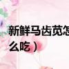 新鮮馬齒莧怎么吃對痔瘡有效（新鮮馬齒莧怎么吃）