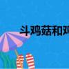 斗雞菇和雞樅菌是不是一種（斗雞菇）