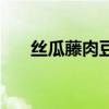 絲瓜藤肉豆須分不清（絲瓜藤肉豆須）