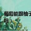 葡萄能跟柚子一起吃嗎（葡萄和柚子能一起吃嗎）
