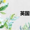 英國爵位制度（英國爵位）