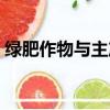 綠肥作物與主產作物輪作的優點（綠肥作物）