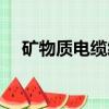 礦物質電纜終端接頭做法視頻（礦物質）