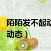 陌陌發不起動態是啥原因（陌陌為什么發不了動態）