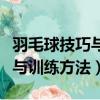 羽毛球技巧與訓練方法視頻教程（羽毛球技巧與訓練方法）