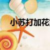 小蘇打加花露水的作用（花露水的作用）