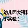 幼兒園大班科學小實驗教案（幼兒園大班科學小實驗）
