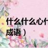 什么什么心什么成語有哪些（什么心什么什么成語）