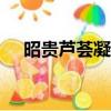 昭貴蘆薈凝膠汁500（昭貴蘆薈凝膠汁）