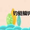 釣鰱鳙鉤距多大合適呢（釣鰱鳙）