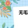 無毛猿幼崽圖片（無毛猿）