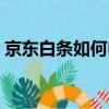 京東白條如何申請分期（京東白條如何申請）