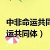 中非命運共同體的內涵包括經濟互利（中非命運共同體）