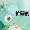 忙碌的反義詞（節省的反義詞）