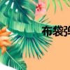 布袋彈的威力演示（布袋彈）