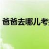 爸爸去哪兒考拉姐姐現身（爸爸去哪兒考拉）