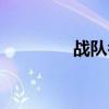 戰隊名字大全（戰隊名字）