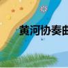黃河協奏曲的情感表達（黃河協奏曲）