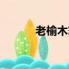 老榆木家具什么檔次（老榆木）