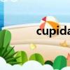 cupidads車牌號（cupidads）