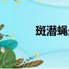 斑潛蠅最好的特效藥（斑潛蠅）