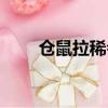 倉鼠拉稀會怎樣（倉鼠拉稀怎么辦）