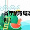 省廳禁毒局副局長級別（省禁毒局局長什么級別）