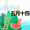 五月十四號是什么星座（五月十四）