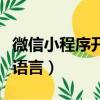微信小程序開發語言用java（微信小程序開發語言）