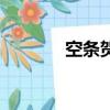 空條賀莉英文名（空條賀莉）