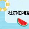 杜爾伯特草原自駕游（杜爾伯特草原）