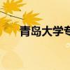 青島大學專科最低分（青島大學專科）