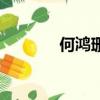 何鴻珊資料（何鴻焱怎么讀）