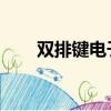 雙排鍵電子琴 玖月（雙排鍵電子琴）