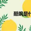 酷颯是什么意思（颯是什么意思）
