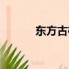 東方古柯可以種嗎（東方古柯）