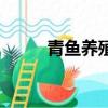 青魚養殖喂什么飼料（青魚養殖）