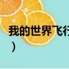 我的世界飛行指令是什么（我的世界飛行指令）