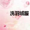 洗羽絨服 爆炸（機洗羽絨服致爆炸）