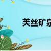 芙絲礦泉水怎么樣（芙絲礦泉水）