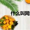 什么叫網絡通緝犯（什么叫網絡通）